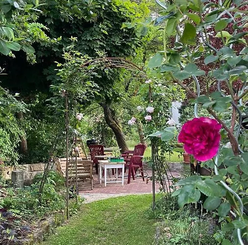 Carolinga דרזדן