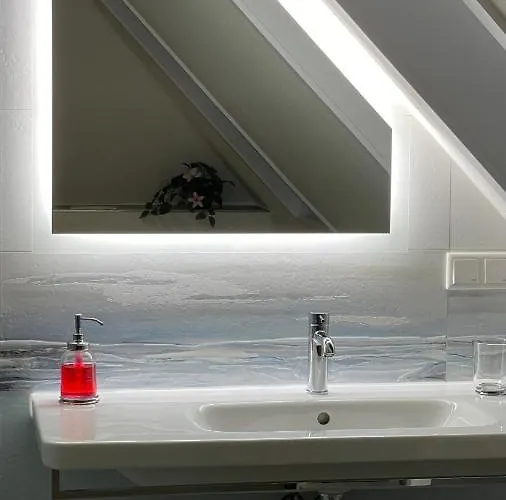 Carolinga Apartment Dresden